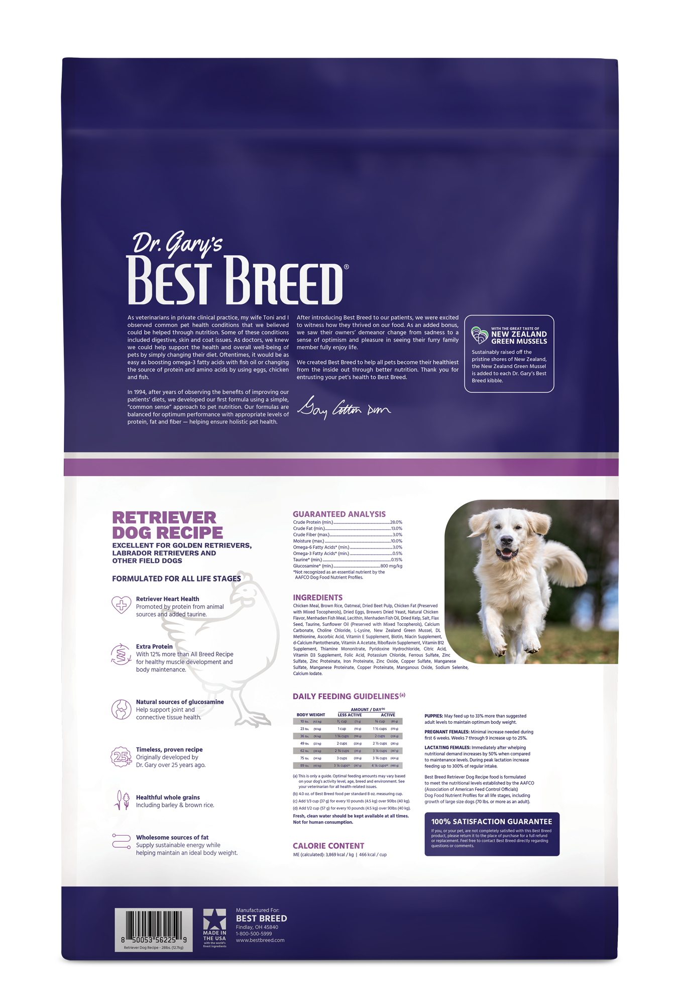 Best Breed Retriever Dog Recipe