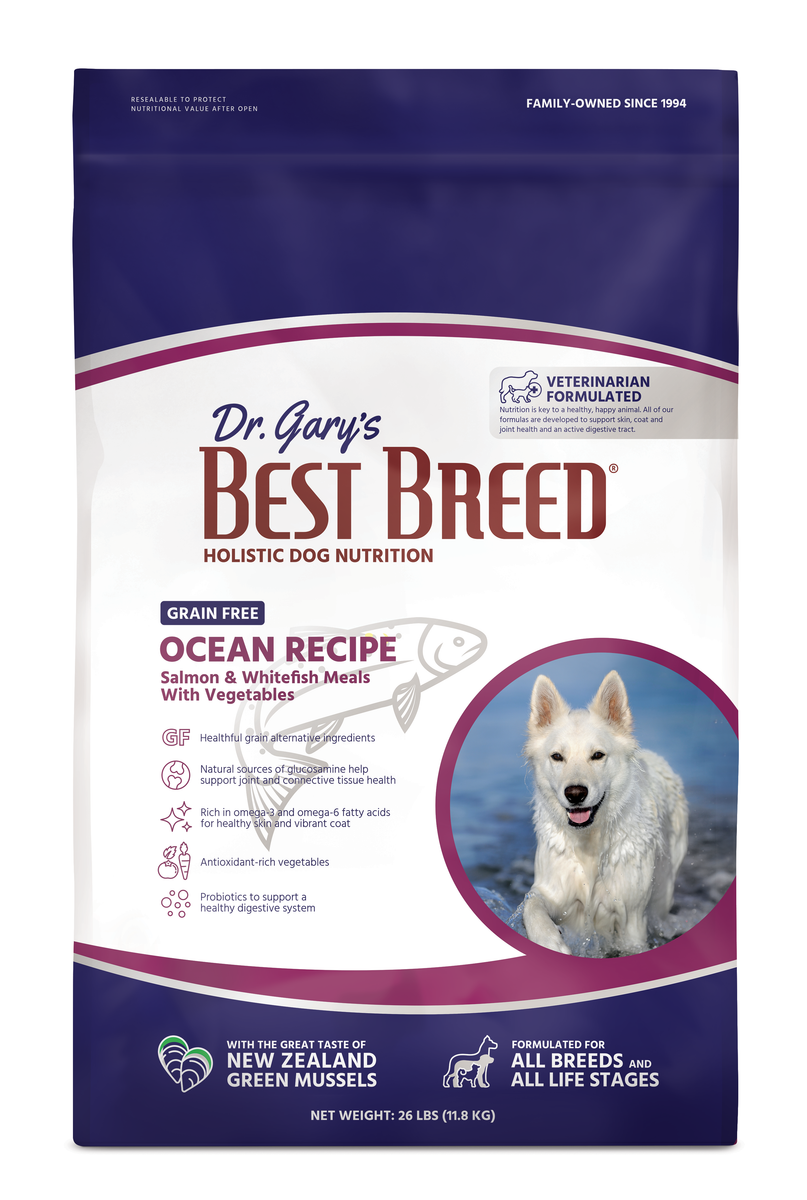 Best salmon dog food with grains best sale