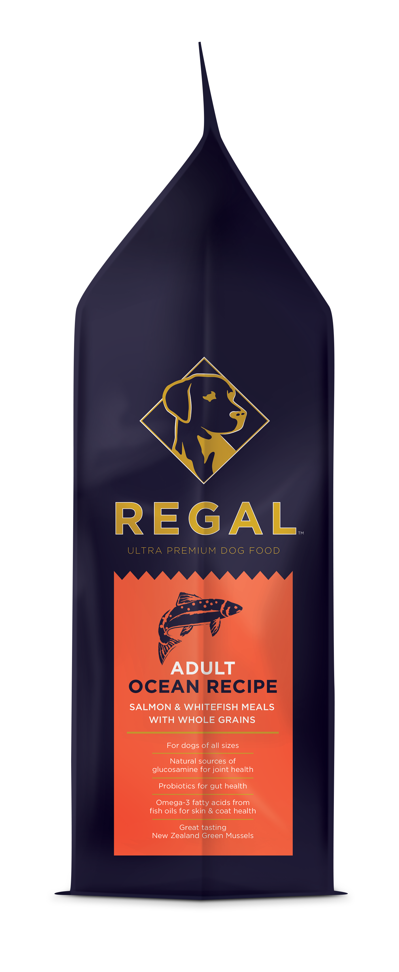 Regal Ocean (Salmon) Recipe