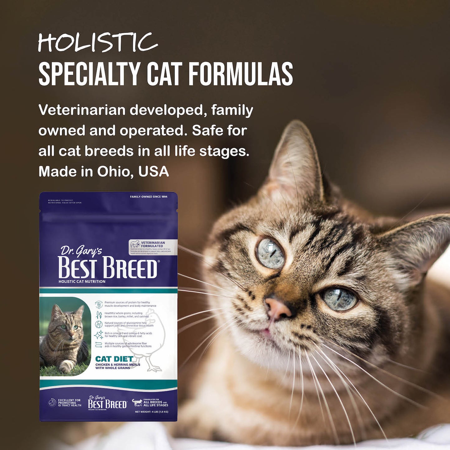 Best Breed Cat Recipe