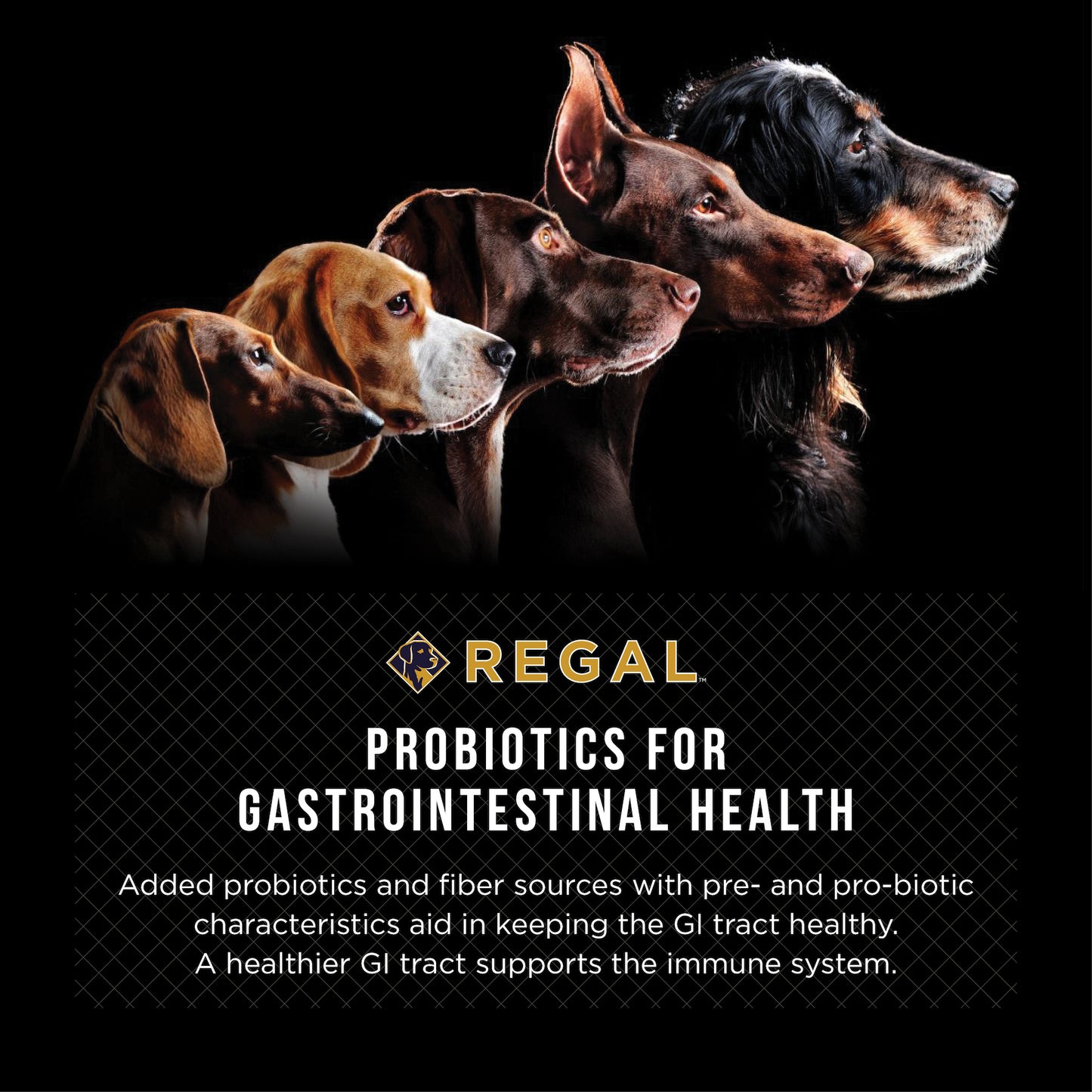 Regal Grain Free Red Meat (Buffalo) Recipe