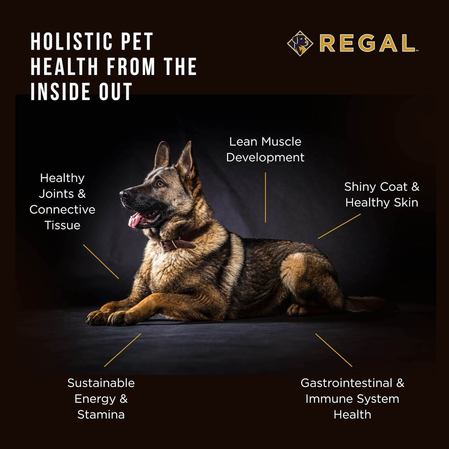Regal Ocean (Salmon) Recipe